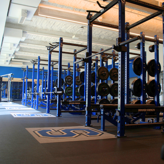 Stoneham gym weight room with rows of blue power racks, barbells, weight plates, and adjustable benches on branded lifting platforms.