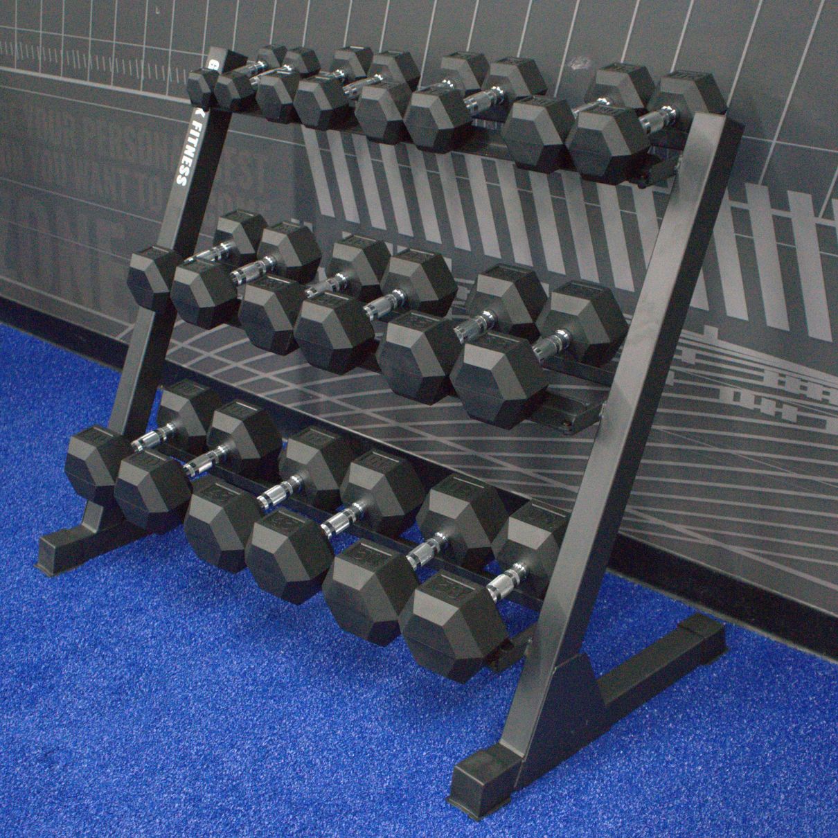 Gronk Fitness 3-tier rack dual-rail saddles with hex dumbbells