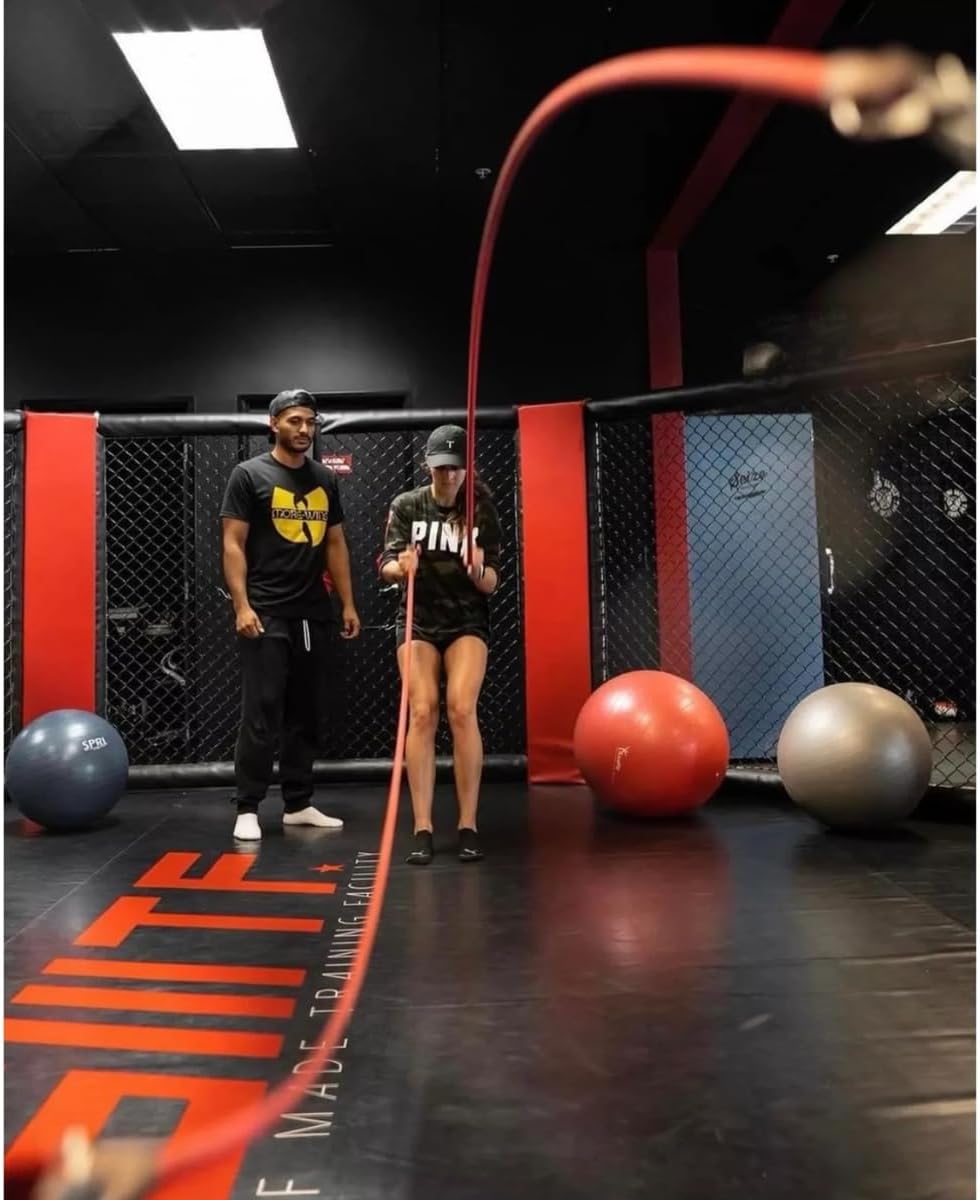 Inertia Wave - Dynamic Rubber Battle Ropes | Purple Inertia Wave Agility and Speed; jump ropes, climbing and battle ropes, ladders, sled, interval timer 61iM3kwv9ML._AC_SL1200_77e50778-2975-4c83-ab28-4bf37eb4684e