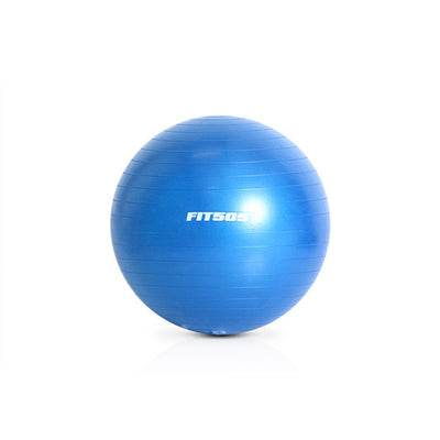 FIT505 Stability Ball